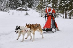 Kandersteg 2014 WM