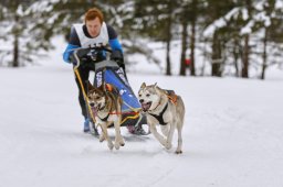 Kandersteg 2014 WM