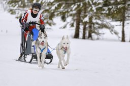 Kandersteg 2014 WM