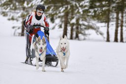 Kandersteg 2014 WM