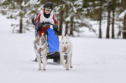 Kandersteg 2014 WM