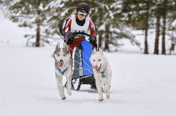 Kandersteg 2014 WM