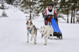 Kandersteg 2014 WM