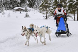 Kandersteg 2014 WM