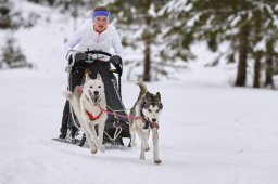 Kandersteg 2014 WM