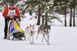 Kandersteg 2014 WM