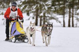 Kandersteg 2014 WM