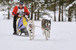 Kandersteg 2014 WM