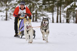 Kandersteg 2014 WM