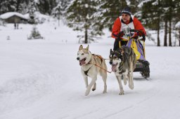 Kandersteg 2014 WM