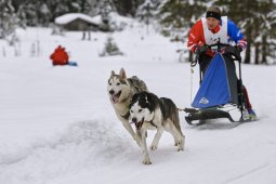 Kandersteg 2014 WM