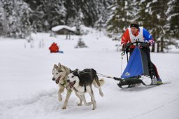 Kandersteg 2014 WM