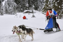 Kandersteg 2014 WM