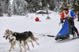 Kandersteg 2014 WM