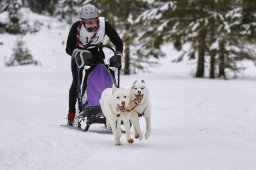 Kandersteg 2014 WM