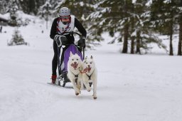 Kandersteg 2014 WM