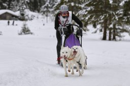 Kandersteg 2014 WM