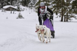 Kandersteg 2014 WM