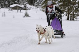 Kandersteg 2014 WM