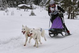 Kandersteg 2014 WM