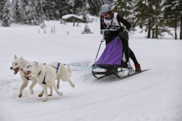 Kandersteg 2014 WM