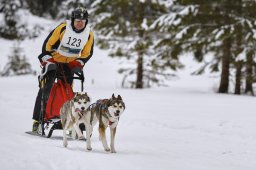 Kandersteg 2014 WM