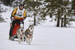 Kandersteg 2014 WM