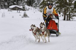 Kandersteg 2014 WM