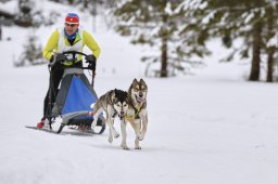 Kandersteg 2014 WM