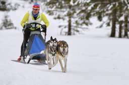 Kandersteg 2014 WM