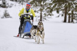 Kandersteg 2014 WM