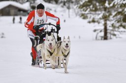 Kandersteg 2014 WM