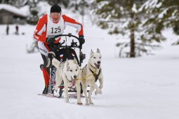 Kandersteg 2014 WM