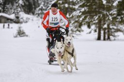 Kandersteg 2014 WM