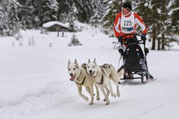 Kandersteg 2014 WM