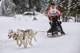 Kandersteg 2014 WM