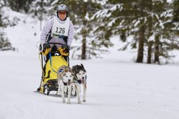 Kandersteg 2014 WM