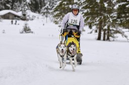 Kandersteg 2014 WM