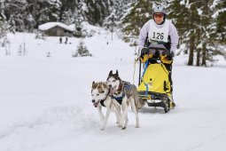 Kandersteg 2014 WM