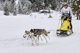 Kandersteg 2014 WM