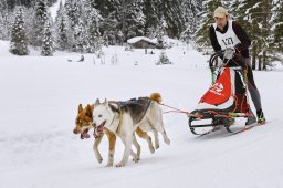 Kandersteg 2014 WM