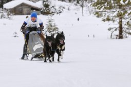 Kandersteg 2014 WM