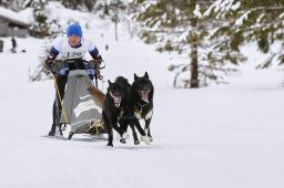 Kandersteg 2014 WM