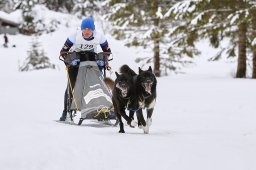 Kandersteg 2014 WM