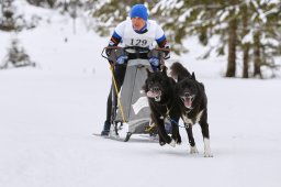 Kandersteg 2014 WM