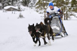 Kandersteg 2014 WM