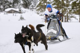 Kandersteg 2014 WM