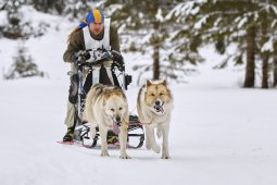 Kandersteg 2014 WM