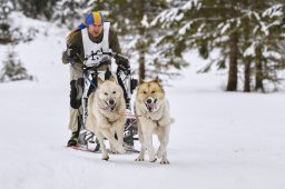 Kandersteg 2014 WM