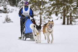 Kandersteg 2014 WM